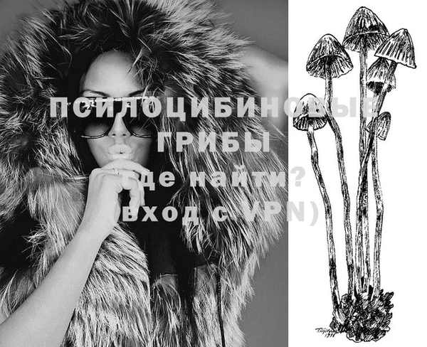 эйфоретик Дмитров